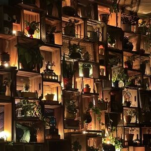 Meet your Posher, Raveena & Rose